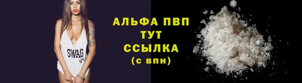 дживик Беломорск